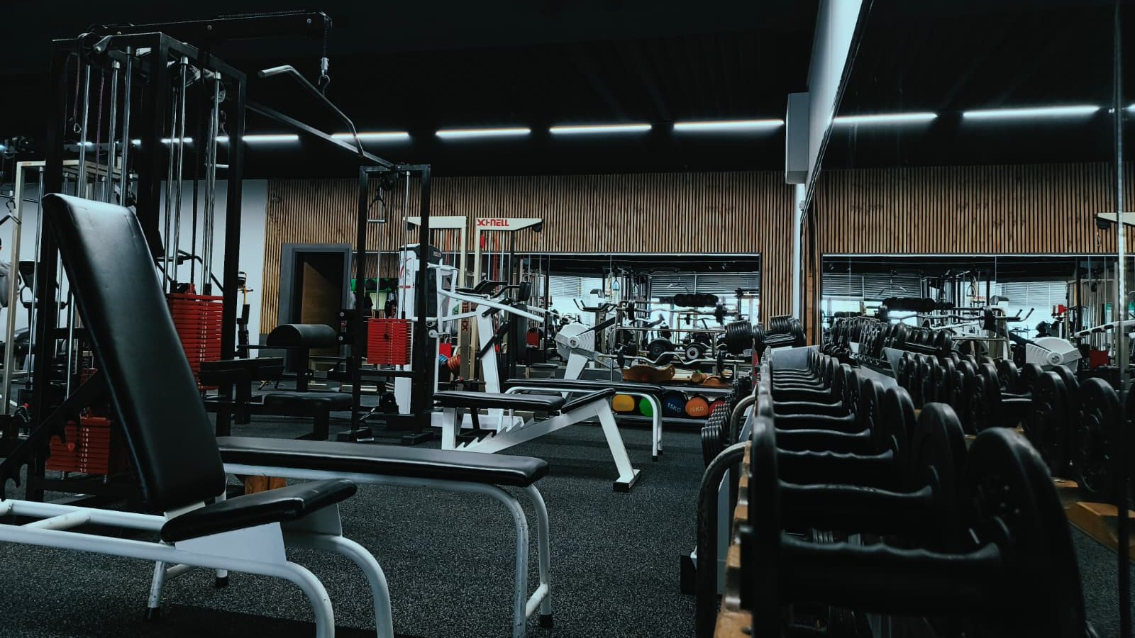 Freihantelbereich mit Bänken und Kabelzug bei KKC Bodyfit